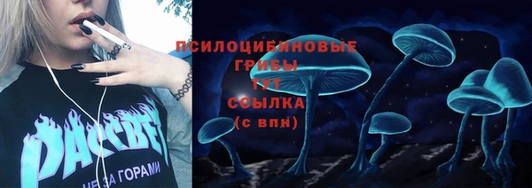 прущие грибы Баксан