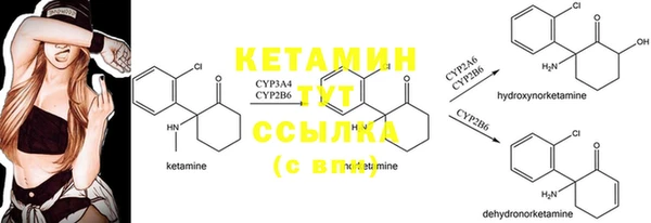 прущие грибы Баксан