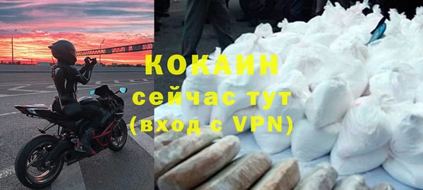 прущие грибы Баксан